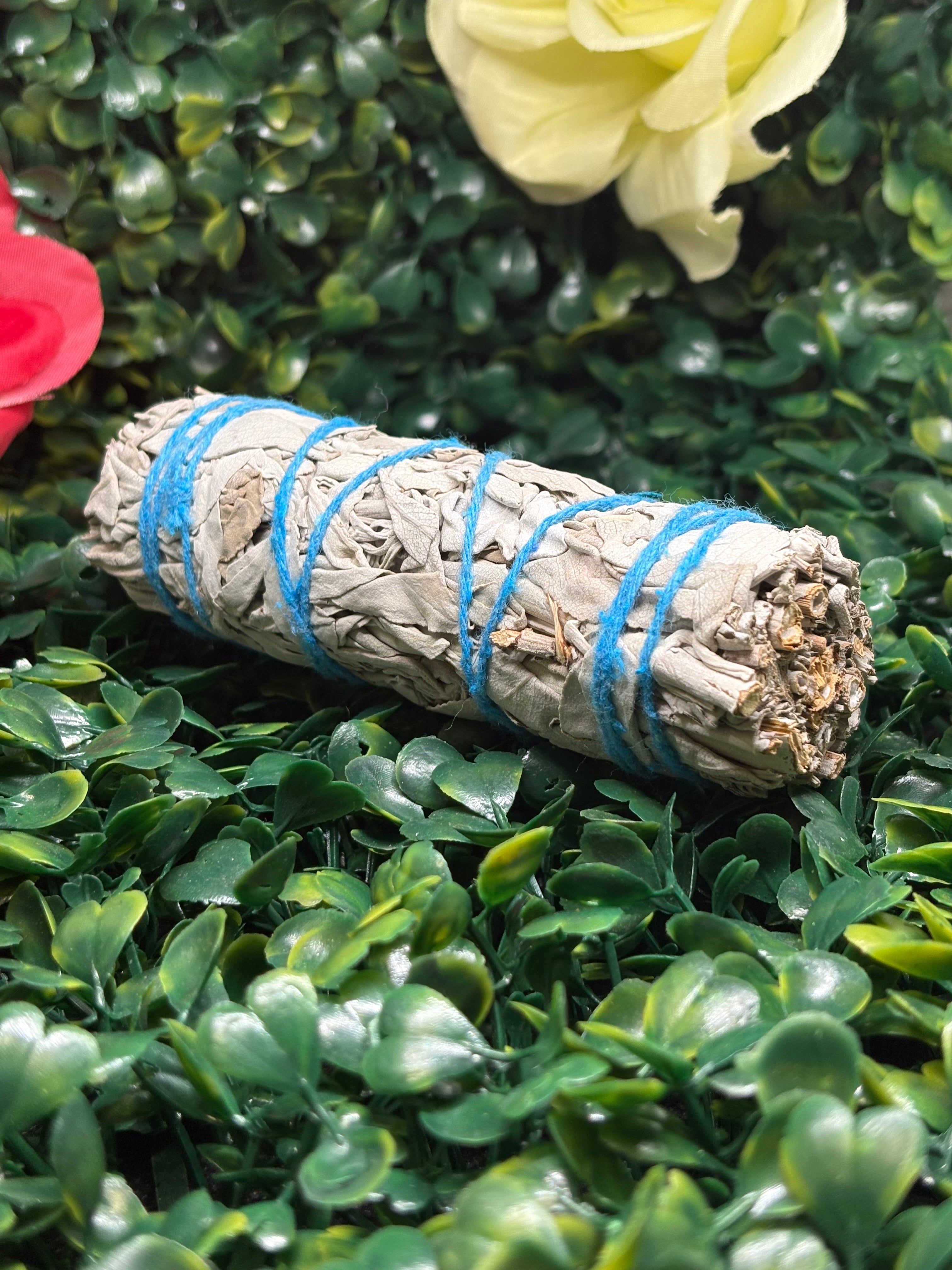4-inch White Sage
